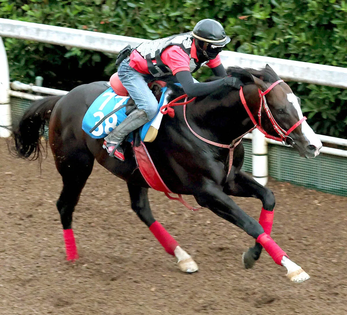12番人気フロムダスクがCBC賞制す！中井裕二騎手もJRA重賞初V