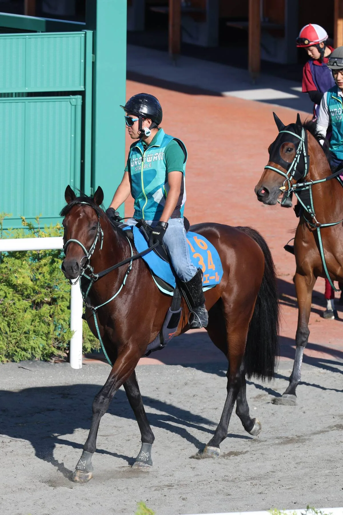 ペリエールが札幌エルムSで連覇なるか！実力馬が復活の予感
