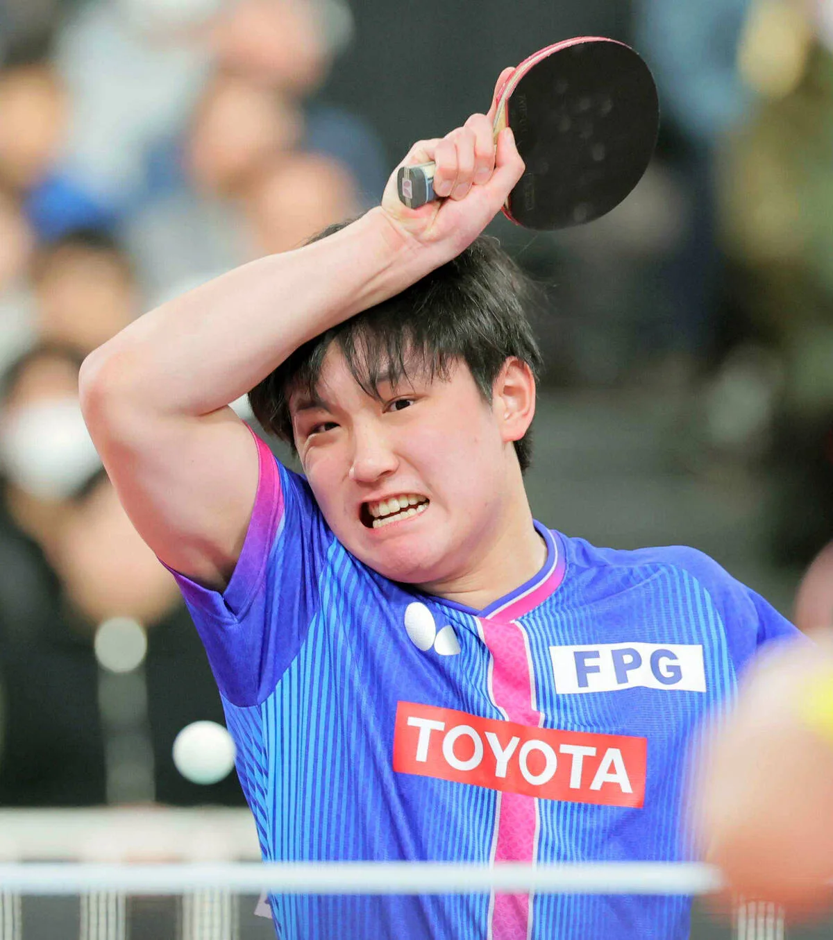 張本智和、ホーム横浜で2連覇へ快進撃！中国の向鵬にストレート勝利で8強